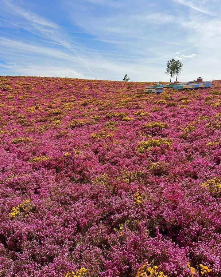 Апартаменти O Refugio Do Mineiro Арока Екстер'єр фото
